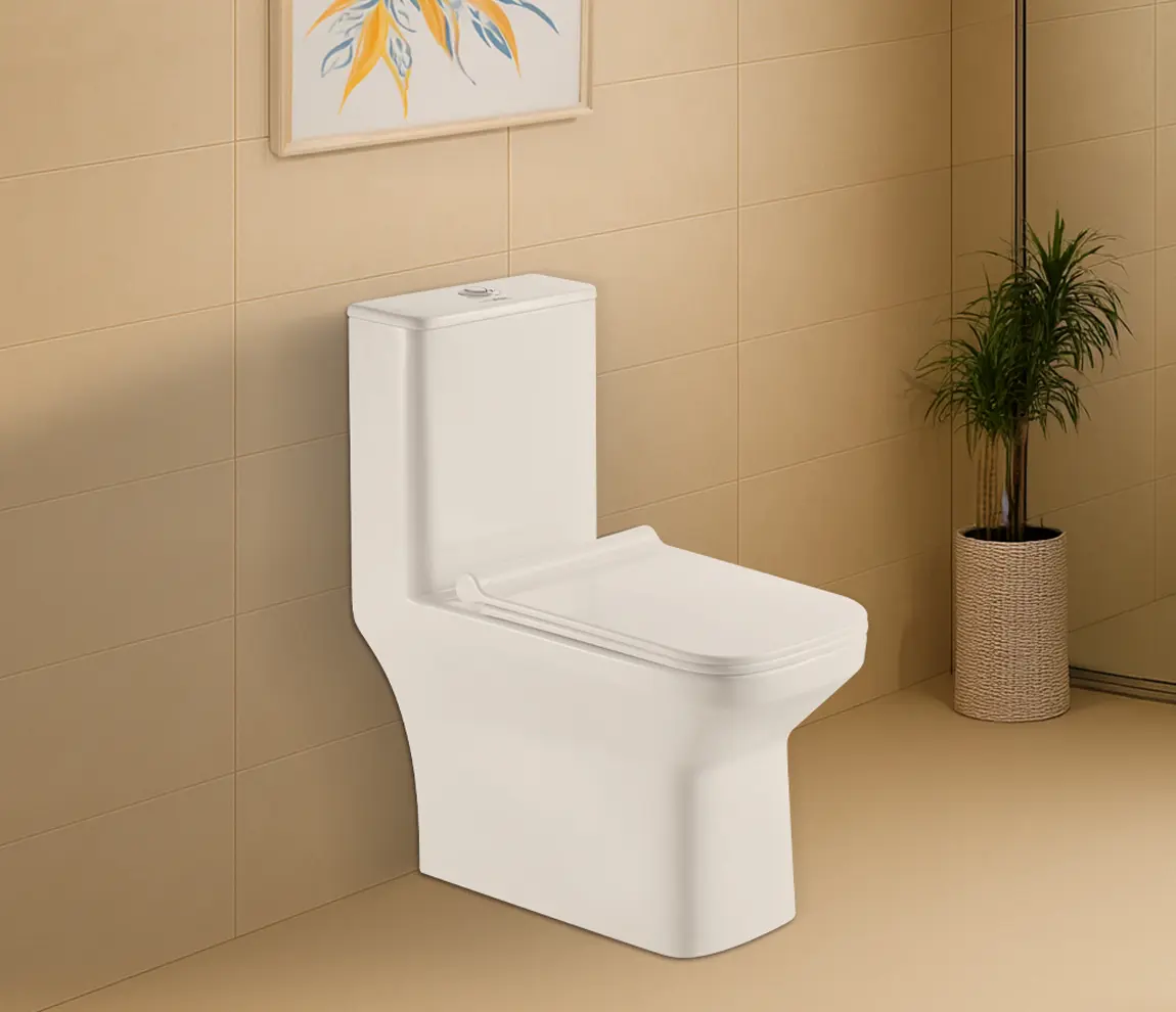 Hindware Aster One Piece Closet S-300